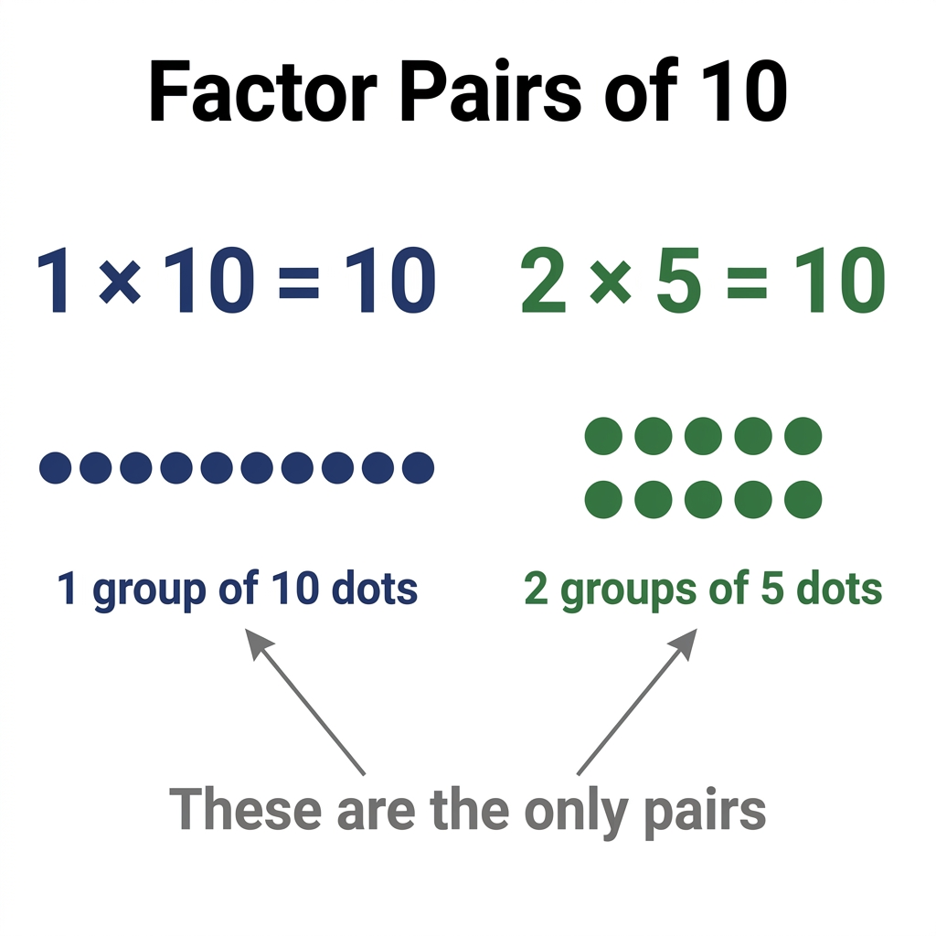 For the number 10, the factor pairs are 1 and 10, and 2 and 5. These are the only pairs that multiply to 10.