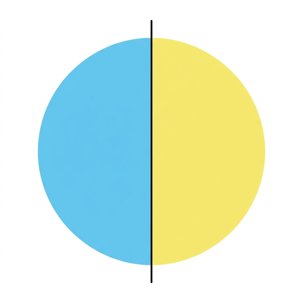Look at this circle. Two equal parts are called halves. Each part is half of the whole circle. They are the same size.