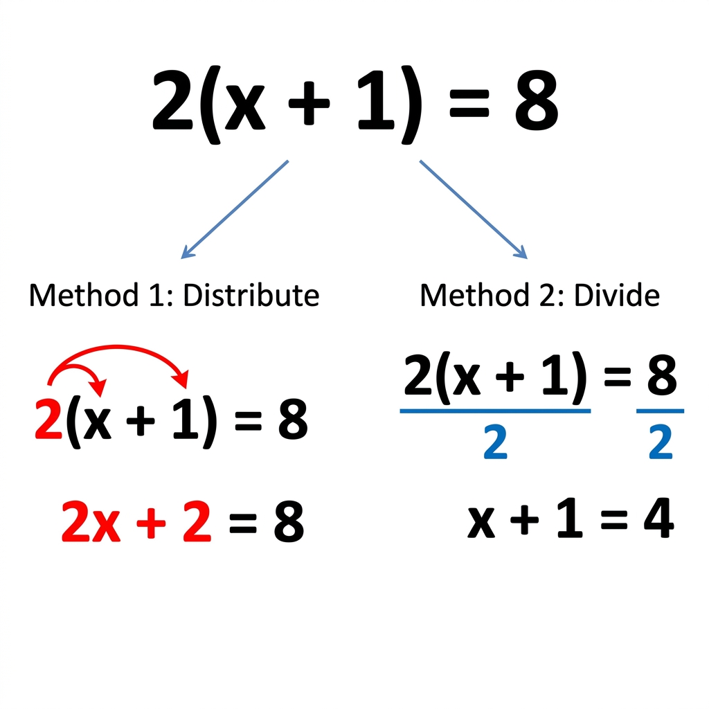 Another example is 2(x + 1) = 8. We can express this by distributing the 2 to get 2x + 2 = 8, or by dividing both sides by 2.